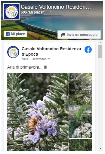 Facebook Casale Voltoncino